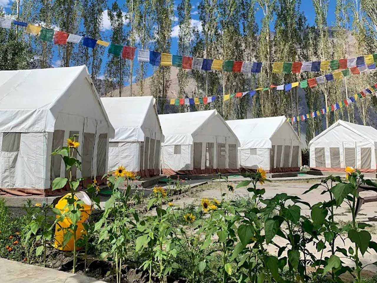 Camp Laschen Nubra